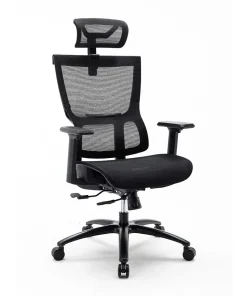 Ghế công thái học Warrior WEC506 (Đen)